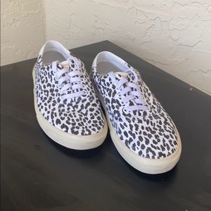 Unique zebra shoes from saint Laurent
